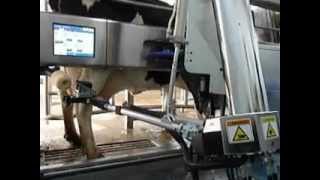 DeLaval VMS Robotic Milker [upl. by Essy]