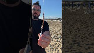 Esca bibi con arenicola clippata in pendolare baitcast baits fishingvideo surfcasting fish [upl. by Ranit227]