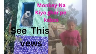 We shocked 🤔बंदर ने किया घर पर कब्ज़ा😲😩 trending video 💖trandingviralvideo YouTubeviewsmonkey [upl. by Ycram]