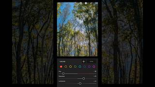 Lightroom mobile editing setting  naturel photography youtubeshortslightroomeditingtrending [upl. by Animar]