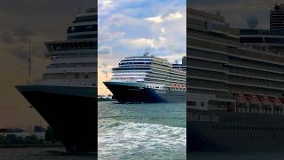 Holland America 🛳️⚓️ like share comment subscribe cruiseship cruise vacation shorts short [upl. by Prospero519]