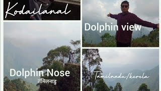 dolphin viewVIVID DOLEYKanishkGupta Hill💚 [upl. by Shirah]