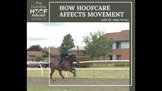 How Hoofcare Affects Movement with Dr Kate Horan [upl. by Annauqaj724]