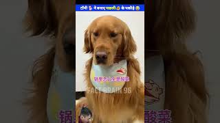 dog funny woodworking pets rakshabandhan amazingfacts chandrayaan3 uwoodworkerfacts [upl. by Matuag]