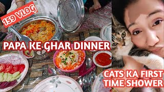 159 vlog  cats ka first shower  papa ke ghr dinner  zebakhanmalik family vlog [upl. by Bowen]