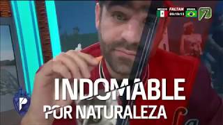 Indomable por Naturaleza  Leones Marinos [upl. by Adnorhs]