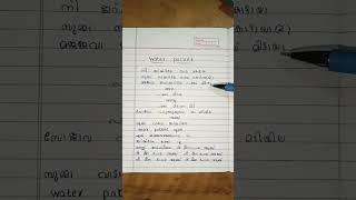 water packet song Lyrics with malayalam trending song [upl. by Frederique]