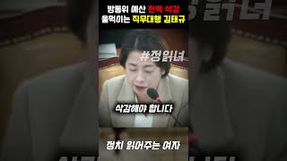 방통위 예산 전액 삭감 선언 울먹이며 변명하는 직무대행 김태규 [upl. by Hanikahs]