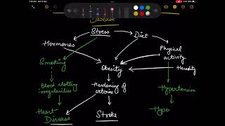 Web of causation of myocardial infarction and coronary heart disease epidemiology [upl. by Koralle71]