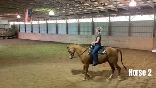 Western Horsemanship  Practice judging class [upl. by Beverie]