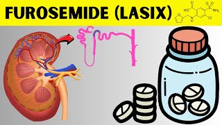 Furosemide  Indications Mechanism Of Action Pharmacology Adverse Effects And Contraindications [upl. by Tess637]