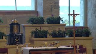 Memorial of St Vincent de Paul Fri Sept272024 800am Holy Mass with Fr Chinnappan Arockiasamy [upl. by Roselani]