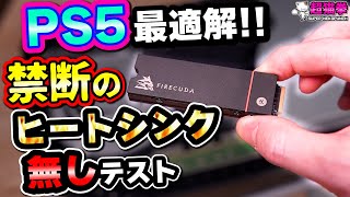 【PS5 M2実験】ヒートシンク付き VS 後付け VS 無し…どれが冷える？Seagate FireCuda 530超猫拳 [upl. by Anjanette766]