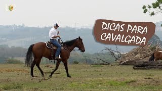 Treinar antes da cavalgada [upl. by Glendon]