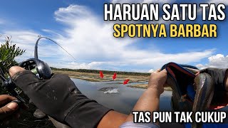 SIAPKAN TAS BESAR KALAU MANCING KE SPOT BARBAR‼️CASTING IKAN GABUS  SHIMANO SLX DC [upl. by Orling660]