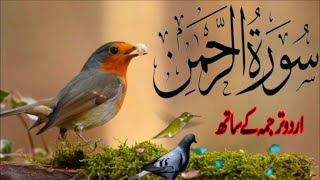 SURAH RAHMAN TARJUMA K SATH  BY QARI Al SHAIKH MUHAMMAD  EP 00166  QURAN TILAWAT BEAUTIFUL VOICE [upl. by Ynahirb]