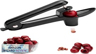 Cherry Pitter Ordekcity Stainless Steel Cherries Corer Pitter Tool with Handheld Review [upl. by Olney72]