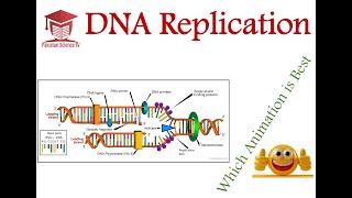 DNA Replication  Comparison of 03 Excellent Animations  Genetics [upl. by Ahmad196]