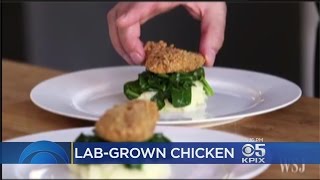 San Leandro Biotech Startup Touts LabGrown Chicken [upl. by Htennek]