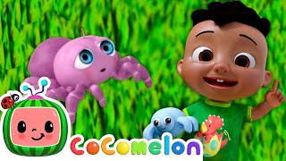 Itsy Bitsy Anansi the Spider Song  Cody amp JJ Its Play Time CoComelon Kids Songs [upl. by Arias]