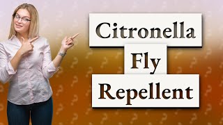 What is the best fly repellent [upl. by Jourdan]