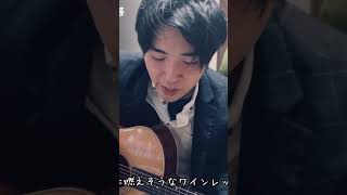 【ワインレッドの心安全地帯 Cover by Sho】ギター弾き語りワインレッドの心安全地帯玉置浩二井上陽水歌ってみたギター弾き語り [upl. by Anera]