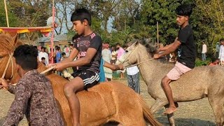 এ কি বললেন ঘোড়া দৌড় প্রতিযোগিতায় লালমনি আইনুল হক এর সোয়ার । ।sutorang।। [upl. by Licastro]