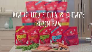 How to Feed Stella amp Chewys Frozen Raw Patties Dog Food [upl. by Eylhsa]