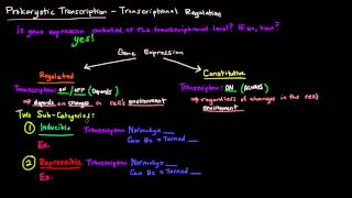 Prokaryotic Transcription Part 1 of 5  Transcriptional Regulation [upl. by Lawlor]