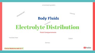 Electrolyte Distribution  Body FluidsFluid Compartments [upl. by Anirak536]