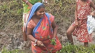 How do they Live in Village  Rural Village Life in India West Bengal  Fish processing  Daily Vlog [upl. by Neztnaj]