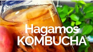 Hagamos Kombucha En Vivo  Tips Beneficios Y Más 😀 [upl. by Eleahcim]