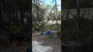 Off Grid Florida Country Living [upl. by Gio703]