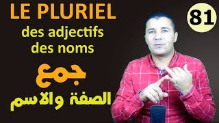 تعليم الفرنسية للمبتدئين 81 جمع الصفات والأسماء Pluriel des Adjectifs et des Noms فرنشاوي [upl. by Penney]