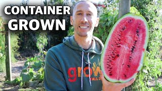 How to Grow WATERMELONS in CONTAINERS Cheap and Easy Patio Gardening [upl. by Ingeberg]