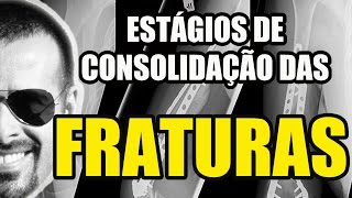 Vídeo Aula 127  Osteologia  Fraturas Estágios de Consolidação  Sistema ÓsseoEsquelético [upl. by Daye]