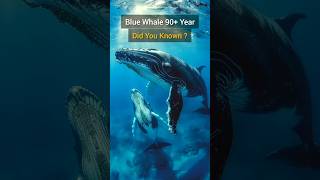 Facts About Blue Whale  Largest Animal bluewhales shorts bigfish [upl. by Esahc]