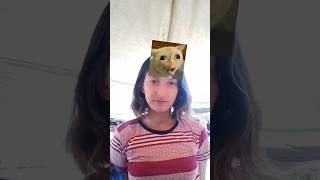 Wait for me 🤣🤣 Trying Tik tok Filter funny animals shorts duet reaction cat [upl. by Ardella]