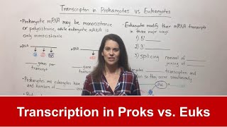 Transcription in Prokaryotes vs Eukaryotes [upl. by Ennirak]