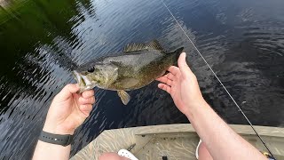 Smallmouth Bass fishing [upl. by Atiuqahc]