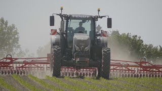 ROTATIVE weeder  Rotoétrille 12m Einböck à l’ETA JAMES 🇫🇷 [upl. by Eatton206]