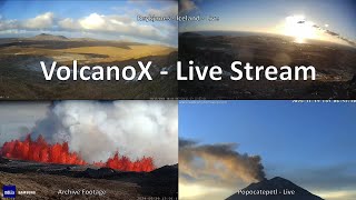 DrFox2000  VolcanoX Live Stream Recording November 19 2024 part 1 [upl. by Caputto]