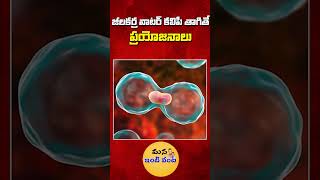 పరగడుపున జీలకర్ర వాటర్ కలిపి తాగితే ప్రయోజనాలు  Benefits Of Drinking With Cumin Water shorts [upl. by Kcirdehs]