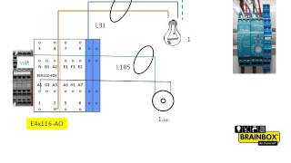 E4x116AO24V ELTAKO ESR12Z4DX UC  2 Wago blue [upl. by Ecinwahs89]