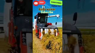 daedong combine harvester🌾🌾viralyoutubeshortvideokubotatractorkubotaytshortstrendingshorts [upl. by Anin]