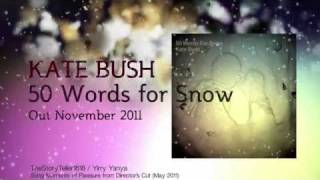 Kate Bush 50 Words for Snow  Teaser  Brand new Album  9 [upl. by Bussey127]