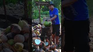 Kocek itu bahasa jawa kelapa coconut [upl. by Nahtiek]