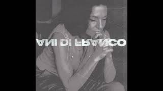 Ani DiFranco  Spinning Room Official Audio [upl. by John]