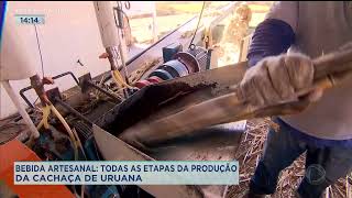 BEBIDA ARTESANAL TODAS AS ETAPAS DA PRODUÇÃO DA CACHAÇA DE URUANA [upl. by Romina]