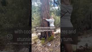 Hiking at Mack’s Canyon Mt CharlestonLas Vegas Camping [upl. by Yenohtna]